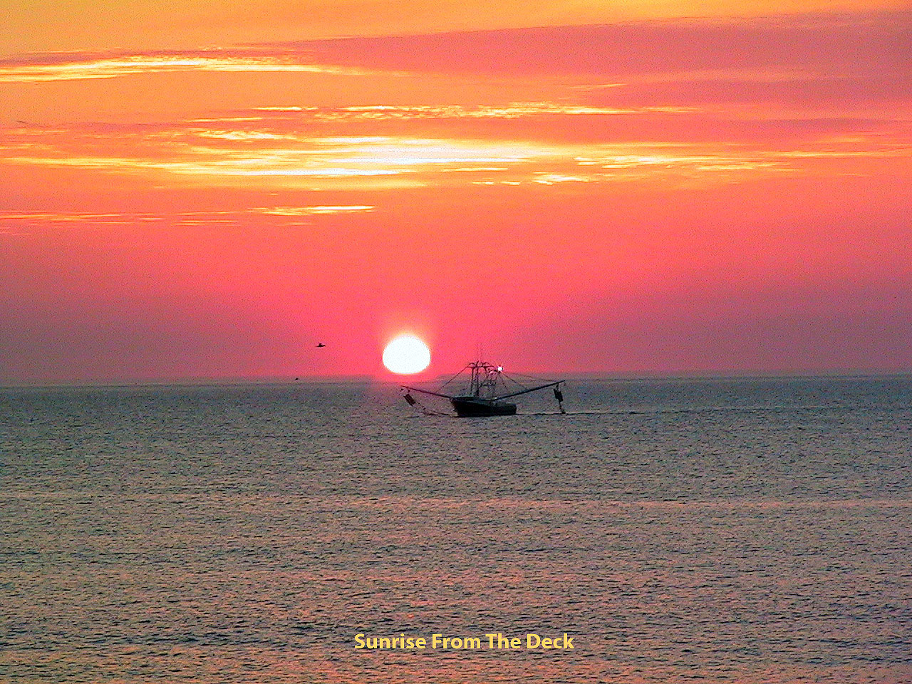 Loading Resort Image...